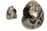 7.6" Septarian "Dragon Egg" Geode - Removable Section - #200202-3